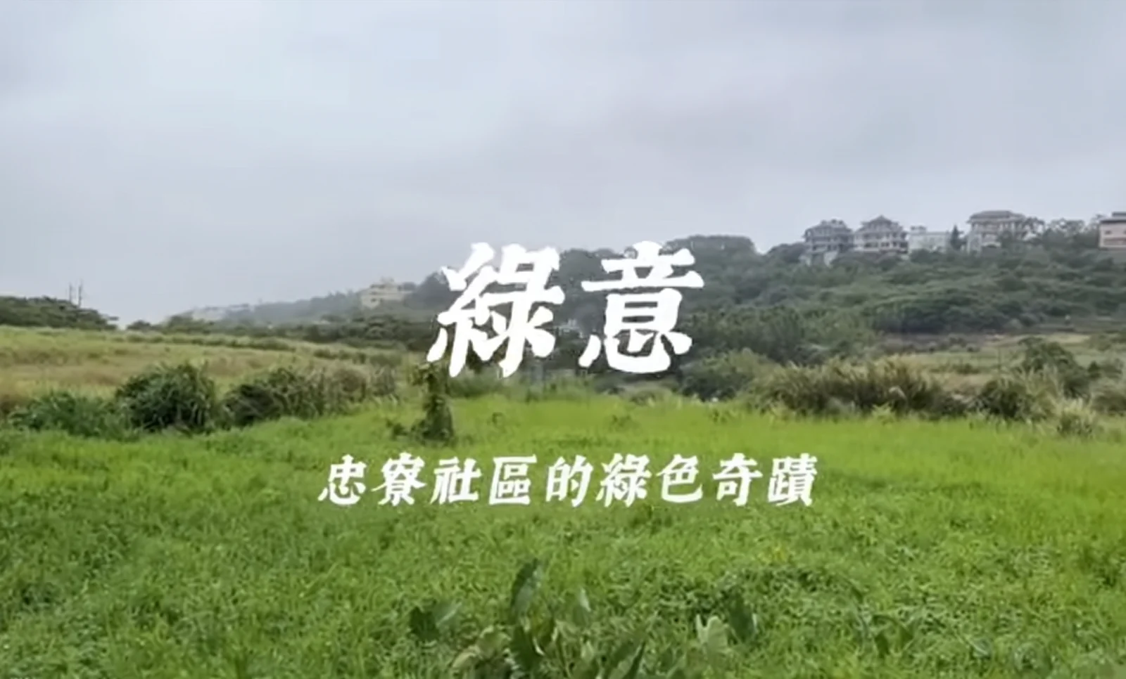 紀錄片影音企劃《綠意—忠寮社區的綠色奇蹟》 封面